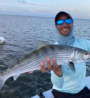 From the shallows - Florida Keys.