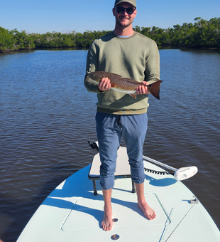 Fort Myers redfish taken on fly and light tackle!