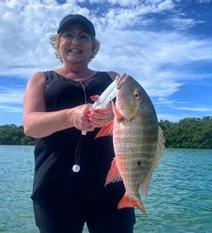 Mutton Snapper Fish From Islamorada, FL