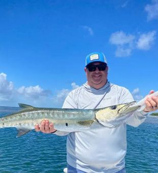 Great Barracuda Fish From Islamorada, FL