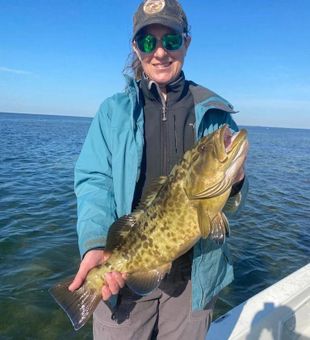 Grouper Fish From Islamorada, FL