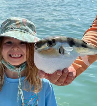 Child Friendly Charters FL
