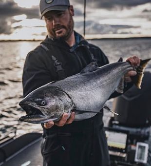 King Salmon! - Lake Michigan
