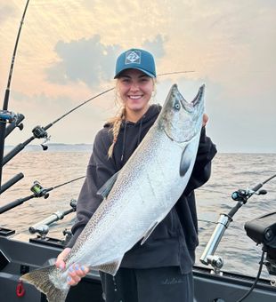 Salmon runs = pure excitement.
