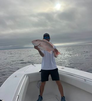 Red Snapper under Grey Skies -Nokomis, FL.