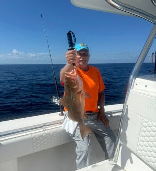 Red Snapper reeled in -Nokomis, FL.