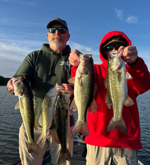 Multiple bass hauled in at Lake Limestone!