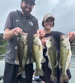 Four nice bass caught in Madisonville TX!