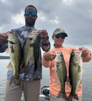 Great bass fishing success in Conroe, TX!