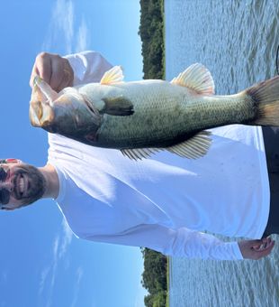 Nice bass catch in Willis TX waters!