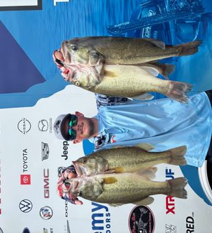 Four quality bass brought to the scales in Willis!