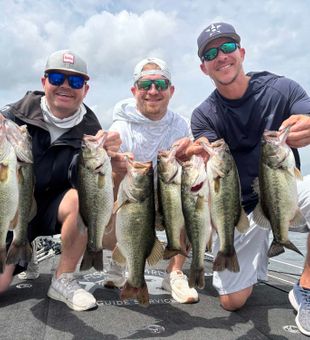 Another successful day chasing bass in Madisonville TX!