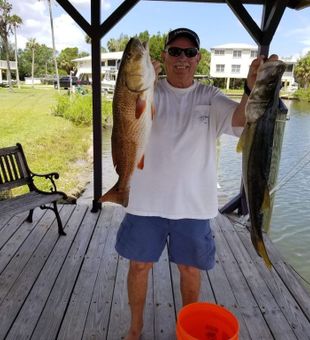 Redfish and a Snook combo in Crystal River, FL!