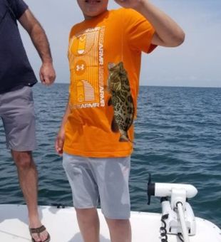 Grouper in Crystal River, FL