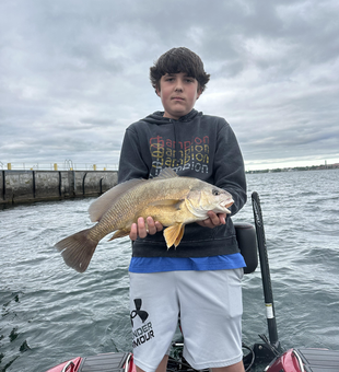Nice black drum using drift fishing technique!