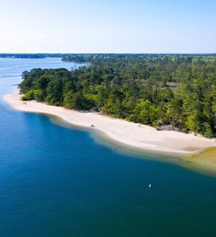 Beautiful coastline of Chesapeake Bay