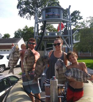 Sheepshead reeled from Virginia Beach