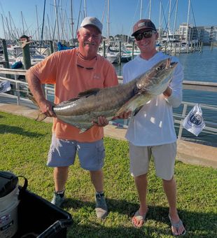 Reel in Cobia on Virginia Beach waters