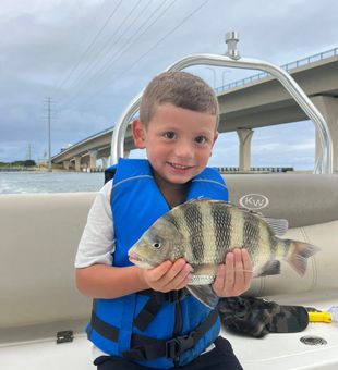 Sight fishing for Sheepshead inshore