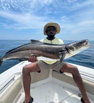 Virginia Beach cobia fishing delivers impressive results!