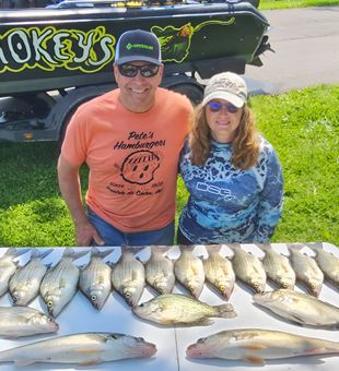 Outstanding walleye and white bass haul from Waukesha Wisconsin!