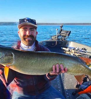 Trophy muskellunge caught in Waukesha Wisconsin waters.