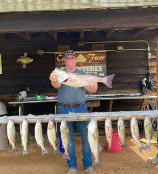Loaded with striped bass!