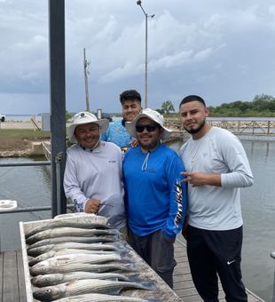 Loaded striped bass box