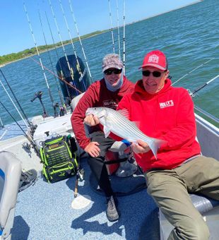 Red Red Redfish 