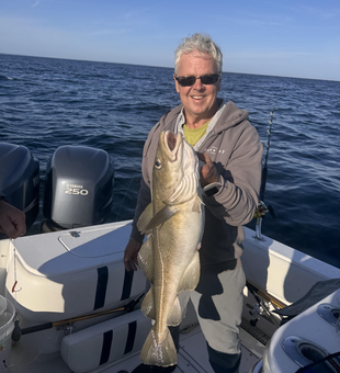 Nice Atlantic Cod on a perfect day at Bulman Marine!