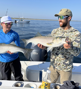 Big striped bass reeled in during a day of fishing in Provincetown!