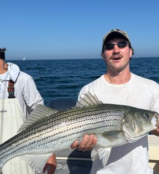 big bass
