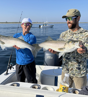 Huge striped bass caught with a variety of techniques on a perfect day