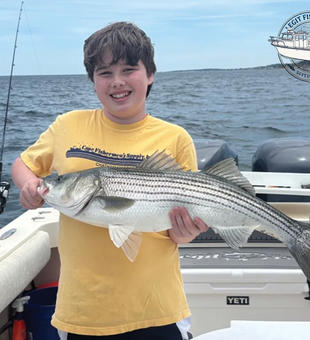 Nice striped bass catch in Scituate MA!