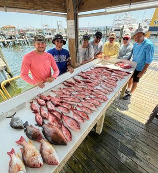 Loaded Pensacola fishing charter haul with vermilion snapper and triggerfish