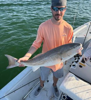 Quality Pensacola redfish catch on inshore fishing charter