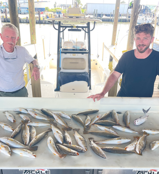 Impressive New Orleans speckled trout haul at the marina!