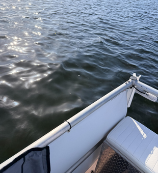 Perfect trolling conditions in New Port Richey waters today!