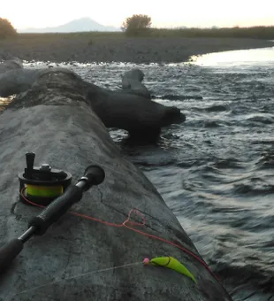 Wading Fishing in Kenai Peninsula Streams!