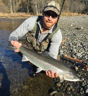 Epic Steelhead fishing in Homer Alaska