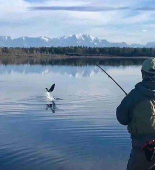 Epic Fishing Adventures In Alaska!