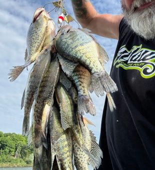 Great day fishing in Bolivar MO with multiple species!