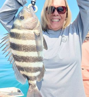 Florida sheepshead fishing at its finest