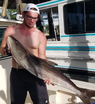 Cobia catch, Unleash your inner angler