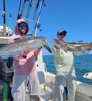 Catch the big one here in Crystal River