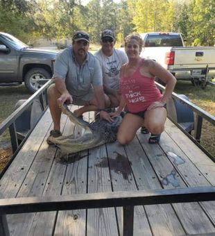 Successful Gator Hunt - Ludowici, GA.