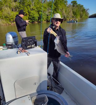 Plenty of action out here today.