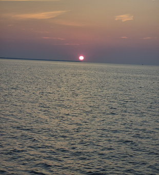 Perfect sunset conditions for deep sea action in Biloxi. Multiple techniques working well today.