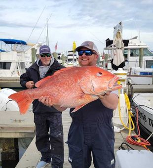 Late season snapper 

