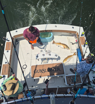 Offshore fishing haul with a catch of the day.